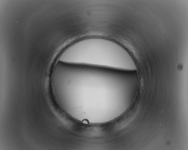 X0000102230492200807250812