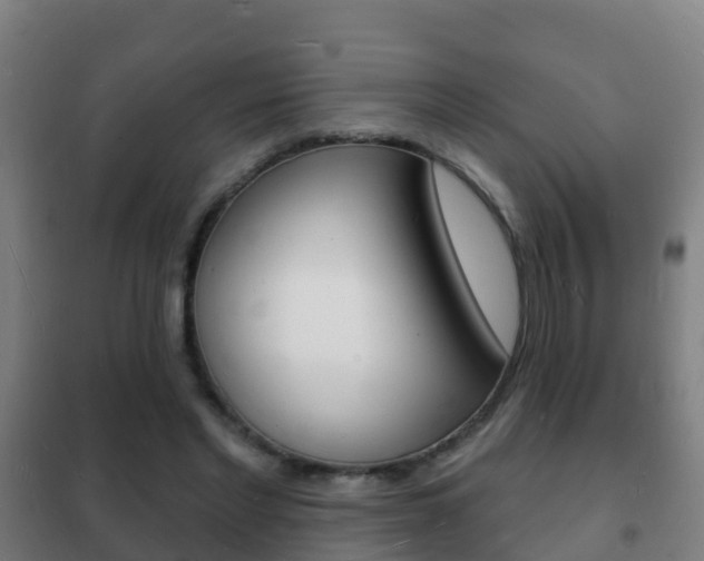 X0000102230493200807250812
