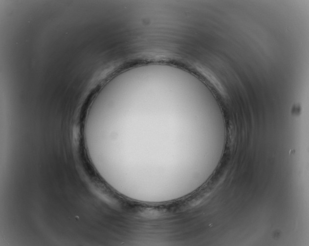 X0000102230494200807250812