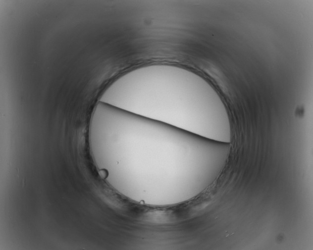X0000102230499200807250812