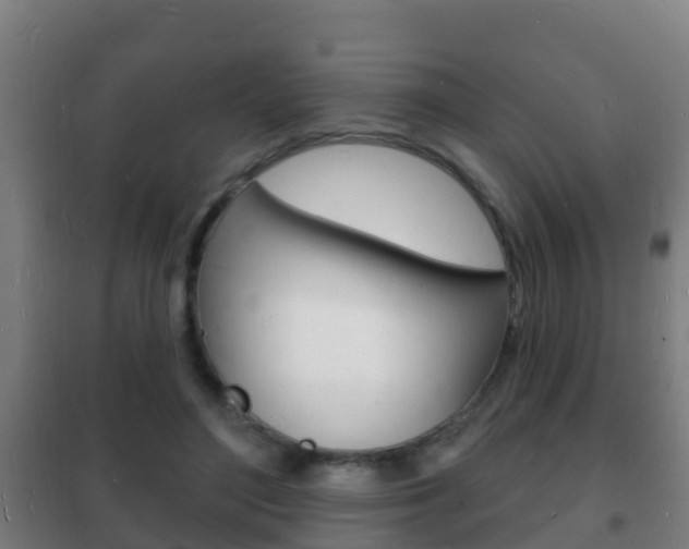 X0000102230500200807250812