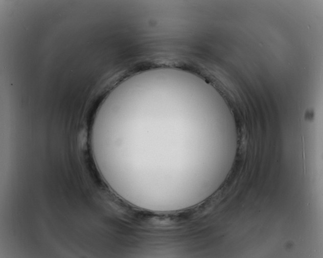 X0000102230502200807250812