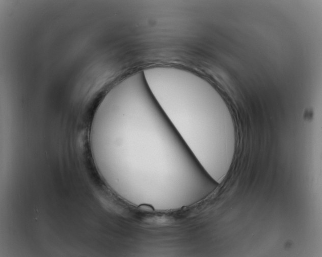 X0000102230503200807250812