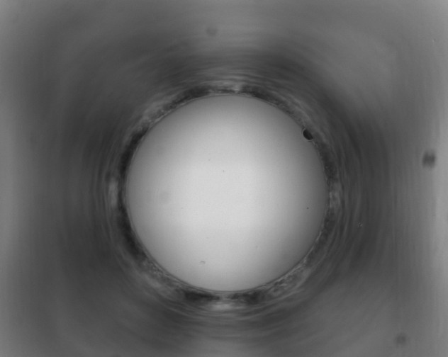 X0000102230504200807250812