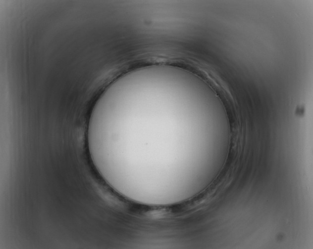 X0000102230505200807250812