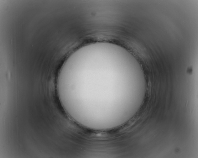X0000102230506200807250812