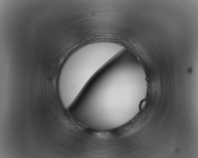 X0000102230508200807250812