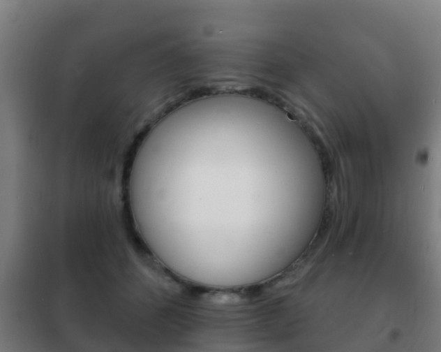 X0000102230512200807250812