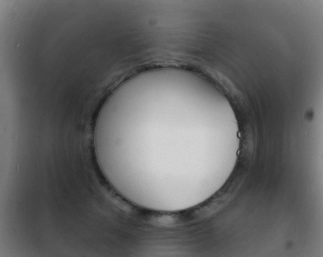 X0000102230513200807250812