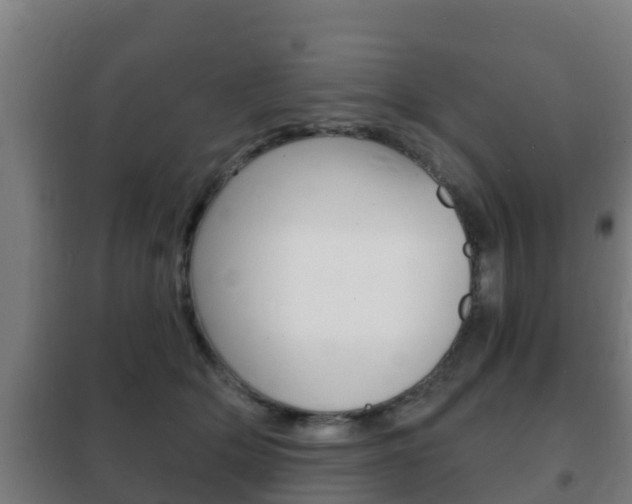 X0000102230514200807250812