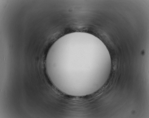 X0000102230515200807250812