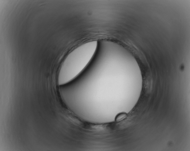 X0000102230516200807250812