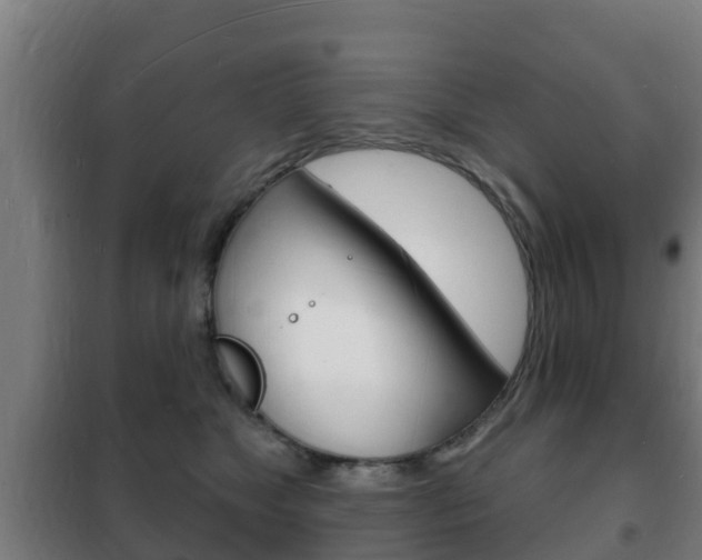 X0000102230517200807250812