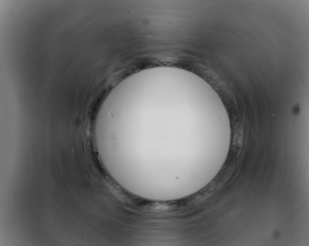 X0000102230518200807250812