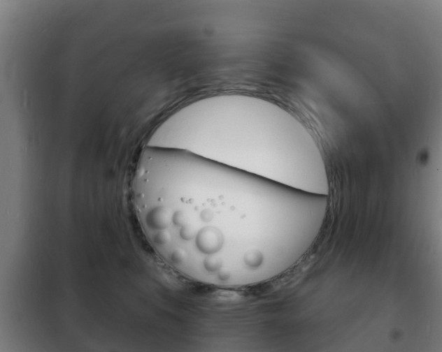 X0000102230519200807250812