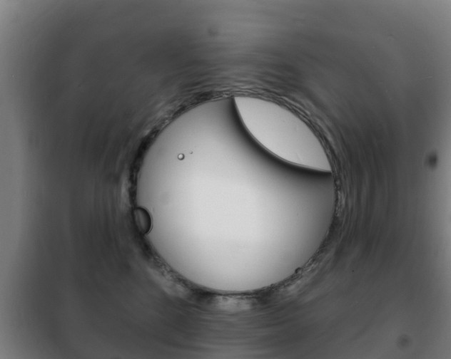 X0000102230520200807250812