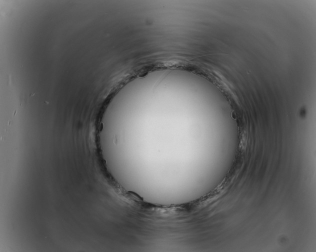 X0000102230524200807250812