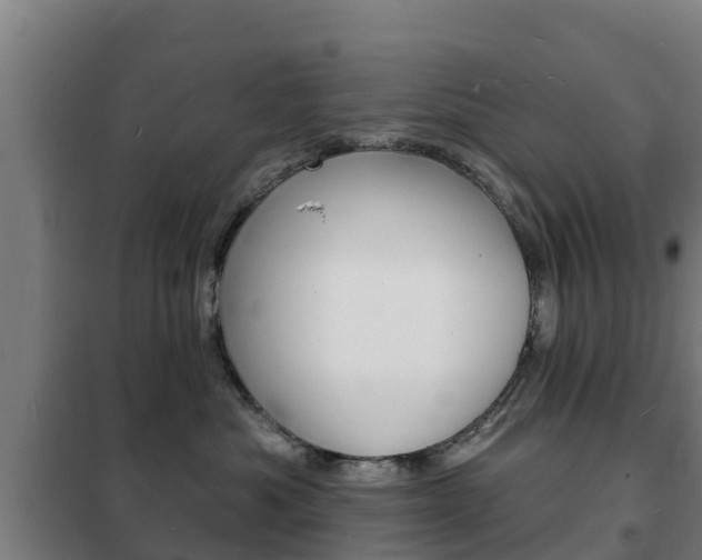 X0000102230525200807250812