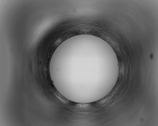 X0000102230526200807250812