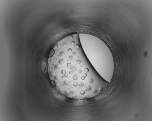 X0000102230527200807250812