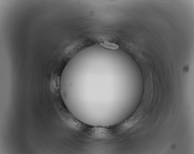 X0000102230528200807250812
