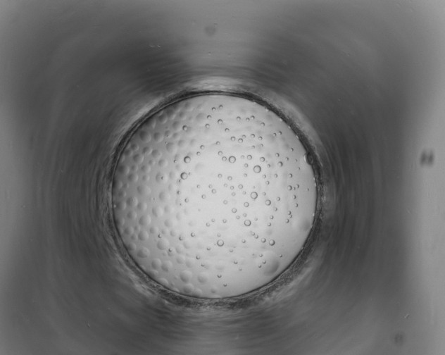 X0000102230529200807250811