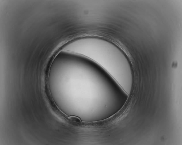 X0000102230530200807250811