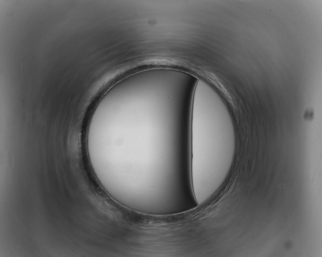 X0000102230531200807250811