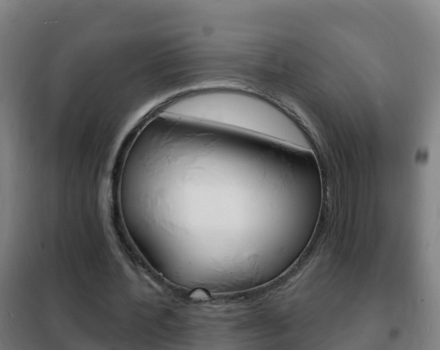 X0000102230532200807250811