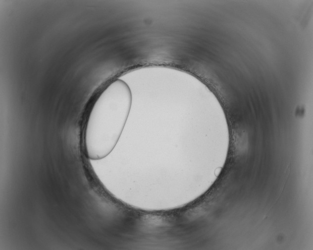 X0000102230534200807250811