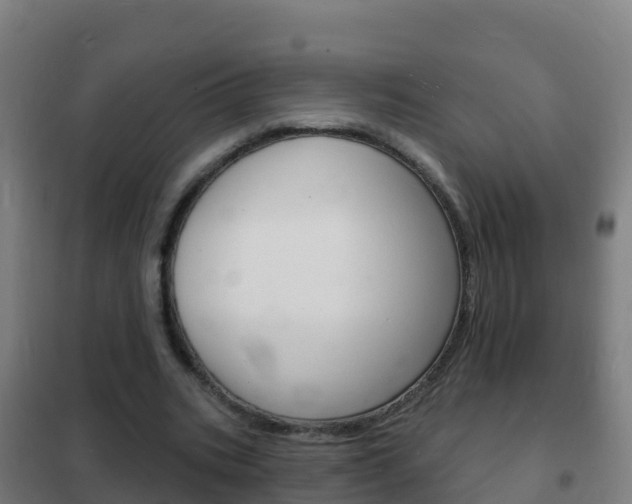 X0000102230535200807250811