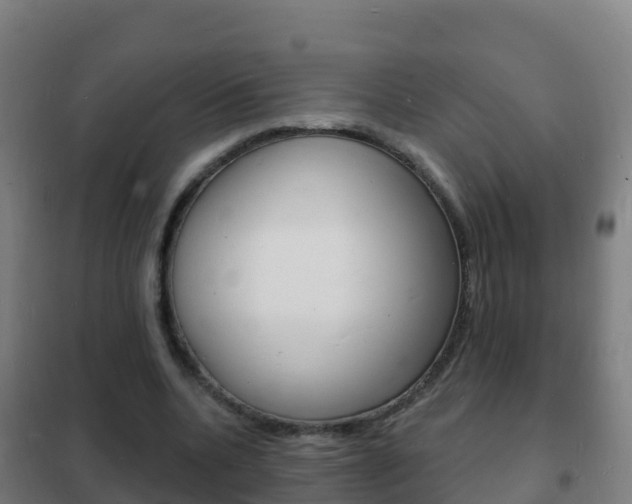 X0000102230536200807250811