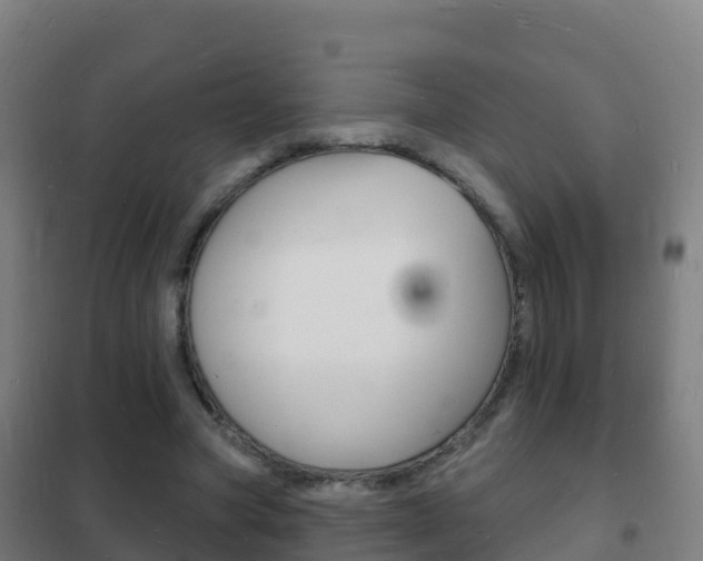 X0000102230537200807250811