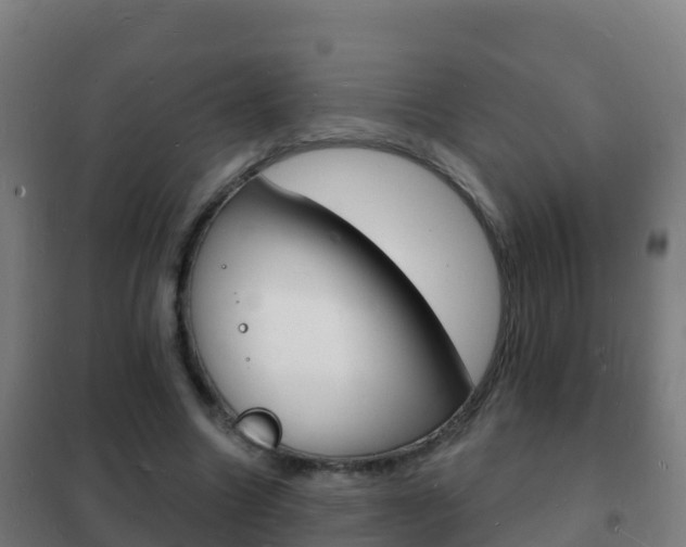 X0000102230538200807250811