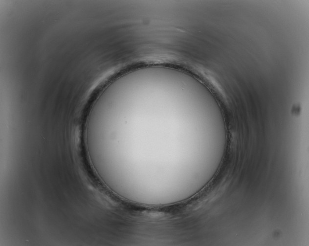 X0000102230539200807250811