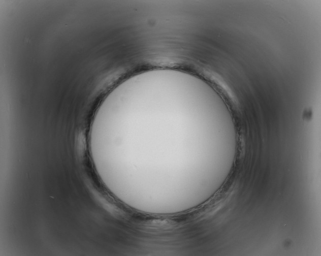 X0000102230541200807250811