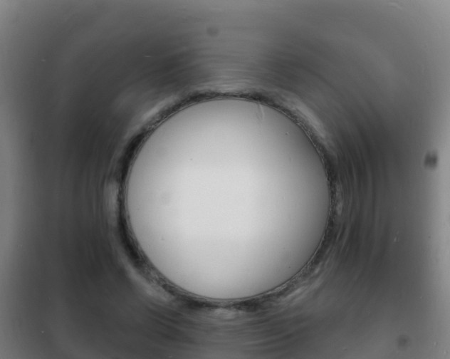 X0000102230542200807250811