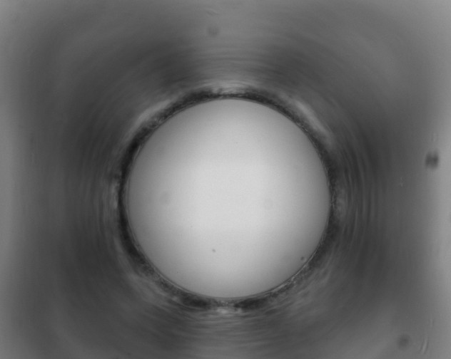 X0000102230543200807250811