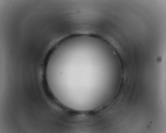 X0000102230544200807250811