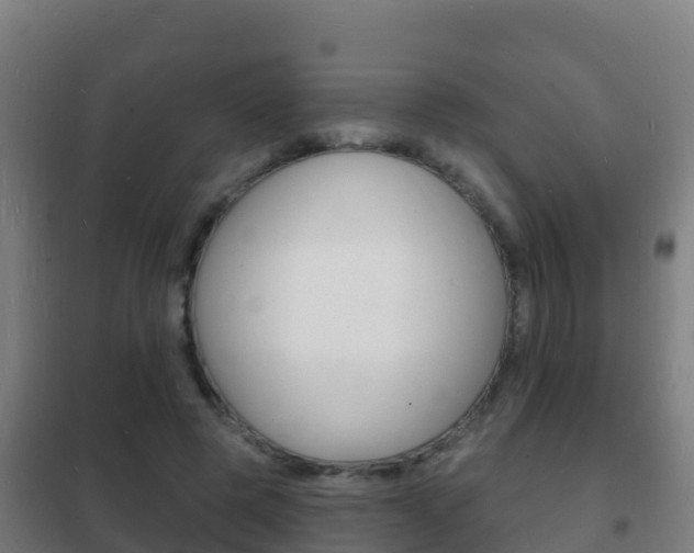 X0000102230545200807250811