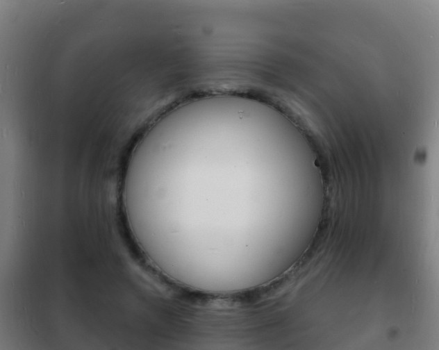 X0000102230546200807250811