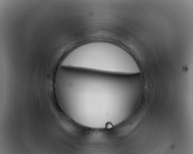 X0000102230547200807250811