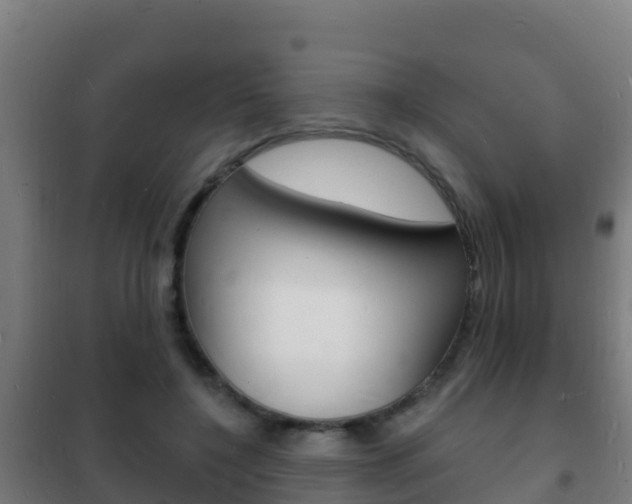 X0000102230548200807250811