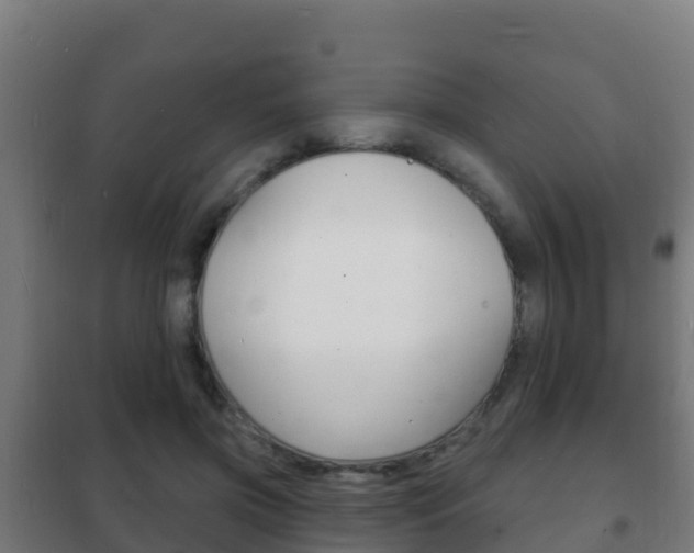 X0000102230549200807250811