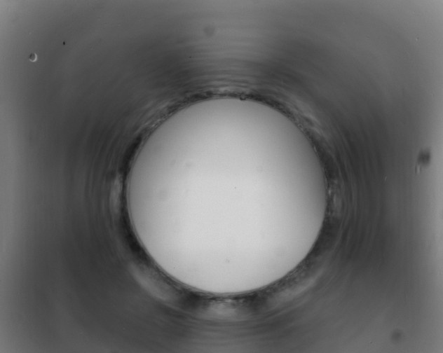 X0000102230550200807250811