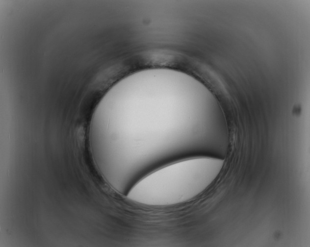 X0000102230551200807250811