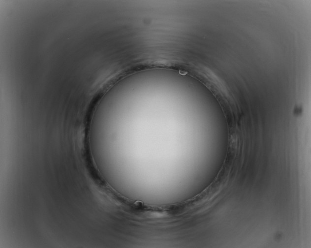 X0000102230552200807250811
