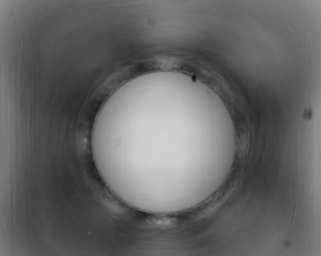 X0000102230553200807250811