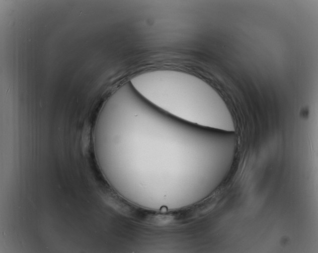 X0000102230554200807250811