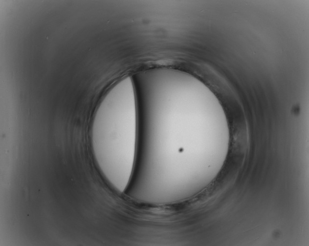 X0000102230555200807250811
